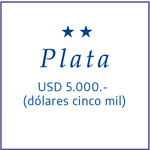 Categoría plata