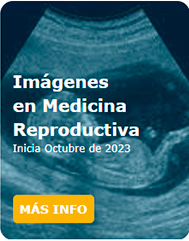 Imágenes en Medicina Reproductiva 2023
