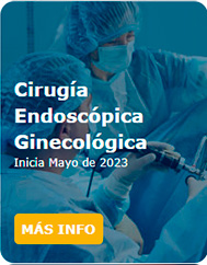Cirugía Endoscópica Ginecológica 2023