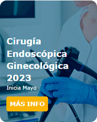 Cirugía Endoscópica Ginecológica 2023
